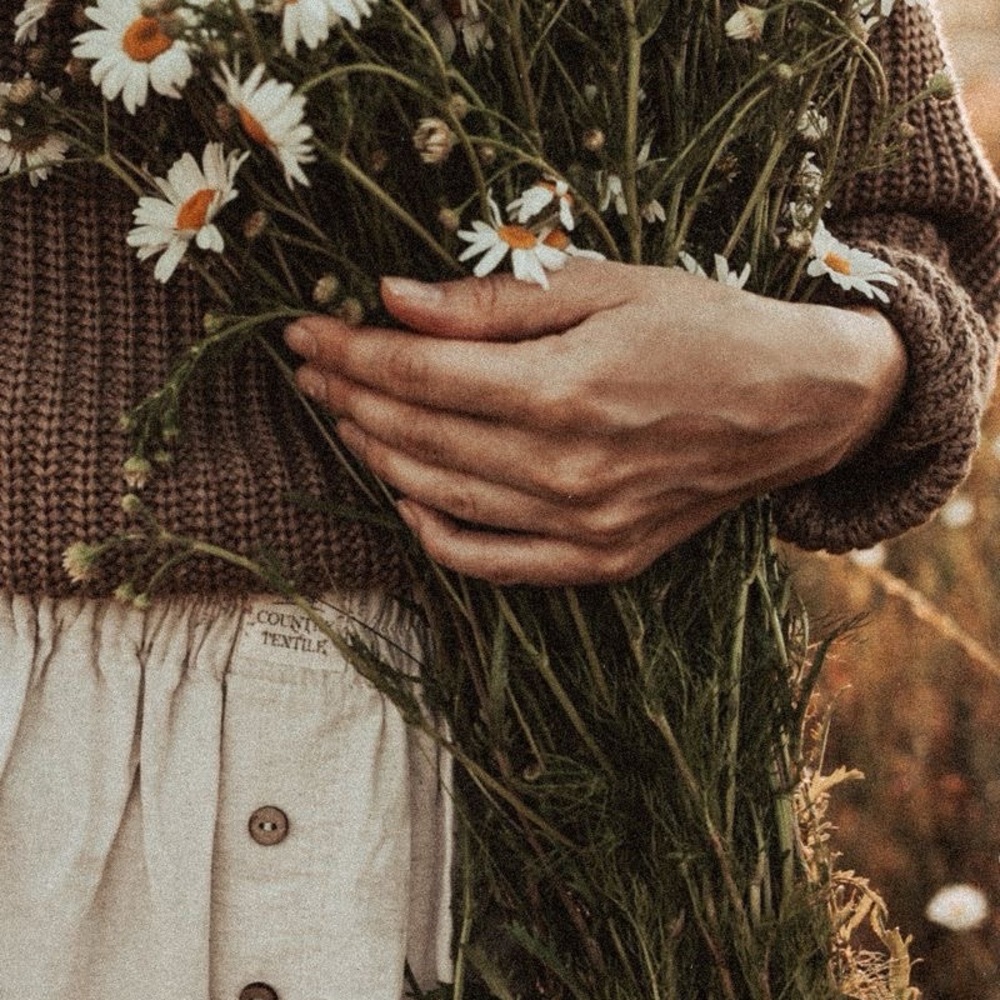 Meet your Posher, erika